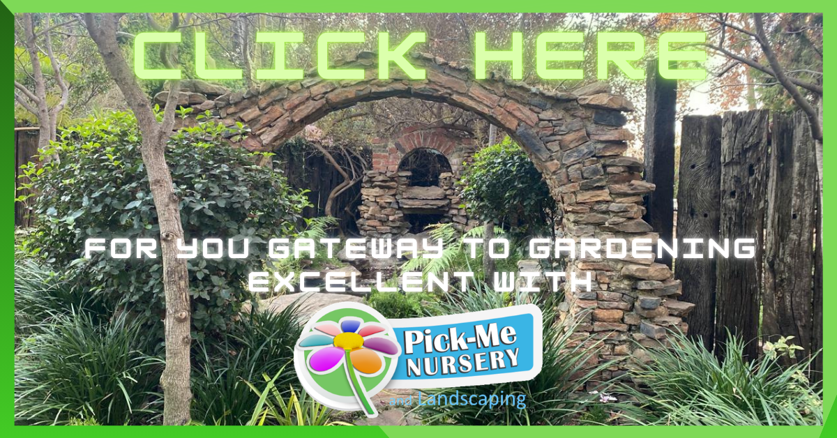 Gateway to Gardening Excellence with Pick-Me Nursery Online